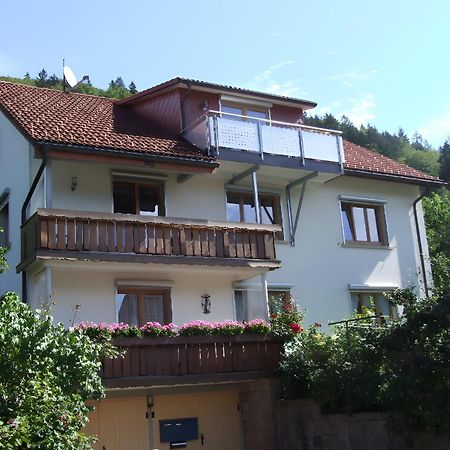 Апартаменты Haus Michler Тодтнау Экстерьер фото