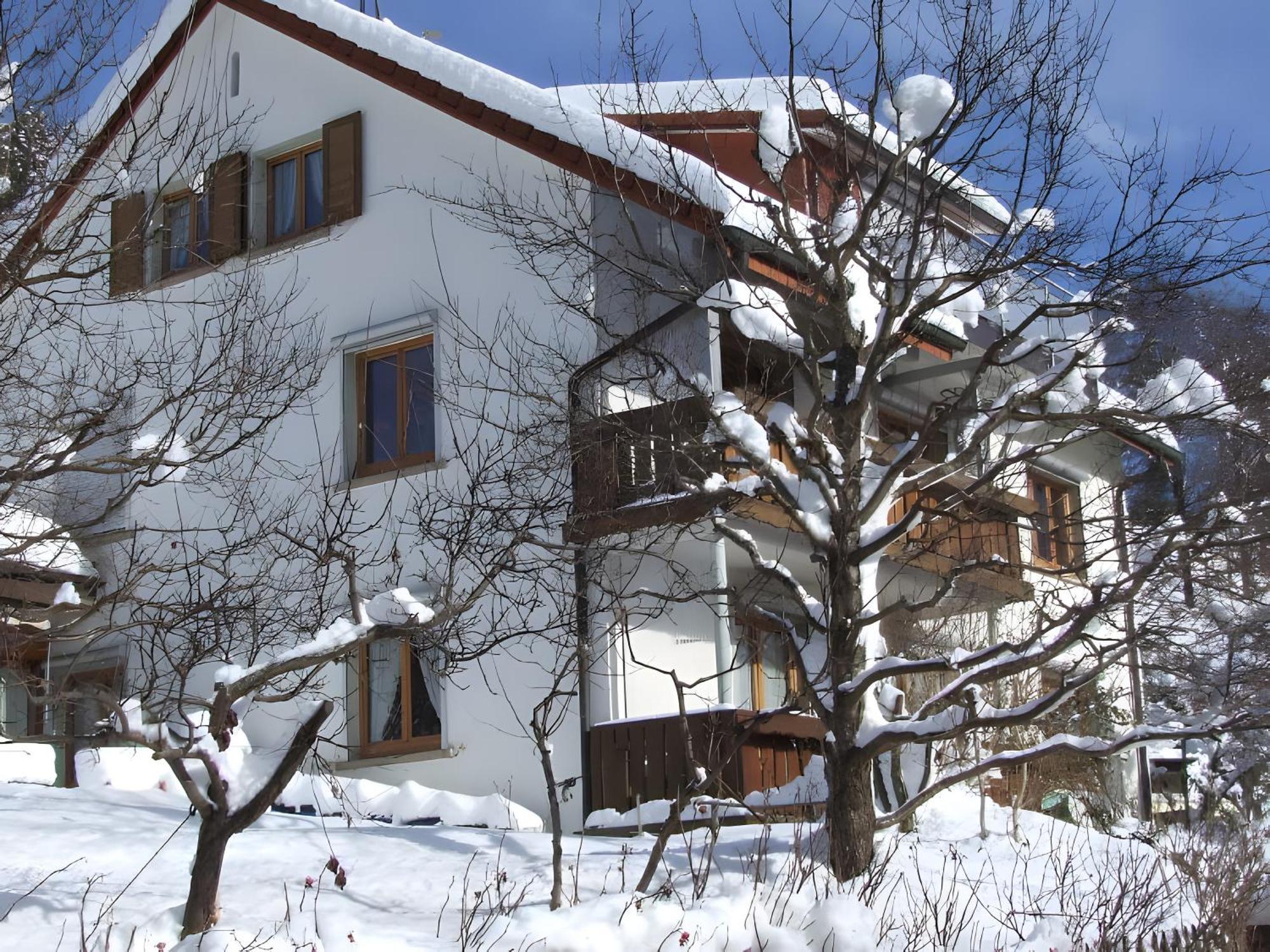 Апартаменты Haus Michler Тодтнау Экстерьер фото